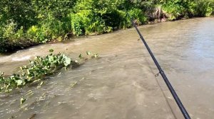Ловля ХАРИУСА на Лесной Речушке/Рыбалка в Темную. /КЕМБРИК,Мушки/Брал по МУТНИНЕ опять!
