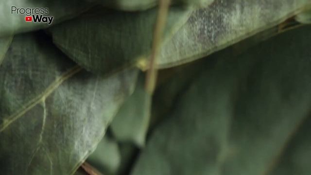 Я Вывел Комочки Солей С Помощью ЛАВРОВОГО ЛИСТА. Суставы Больше Не Беспокоят! смотреть онлайн