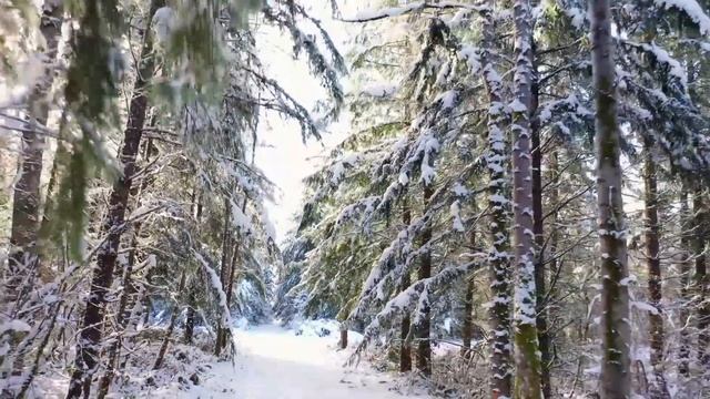 Зимняя сказка для успокоения нервной системы и отдыха. Beautiful Relaxing Music. смотреть онлайн