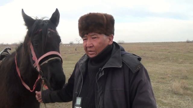 ТӨРТ ТҮЛІК ҚЫСТАН ҚОҢДЫ ШЫҚТЫ смотреть онлайн