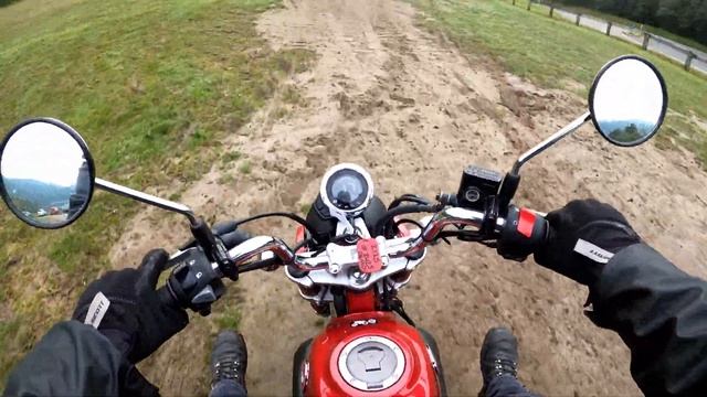 A Proper Honda Monkey 125 Review!