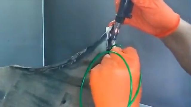 Шедевры Вкуса