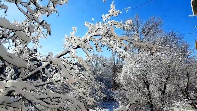 ТАГАНРОГ-2019: УТРЕННЯЯ КРАСОТА ИЗ ОКНА ДОМА #АнатолийКлимович #Таганрог смотреть онлайн