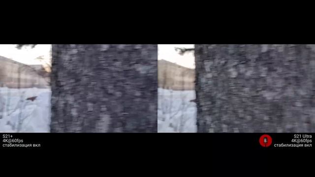 S21 Ultra проиграл S21?! Samsung S21 Ultra Vs S21 Vs S21 Plus: у кого лучшая камера / ОБЗОР