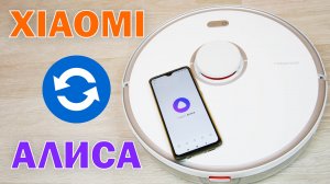 Как подключить робот-пылесос Xiaomi к телефону - пошаговая инструкция