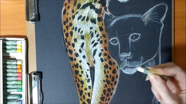 Рисуем леопардов пастелью! Таймлапс. Draw leopards with oil pastels! Time lapse. смотреть онлайн