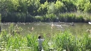 Охота на рыбу с помощью лука