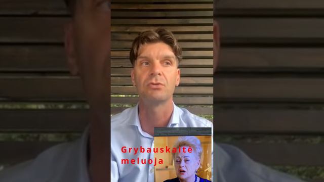 Grybauskaitė turi klastingą rinkimų planą смотреть онлайн