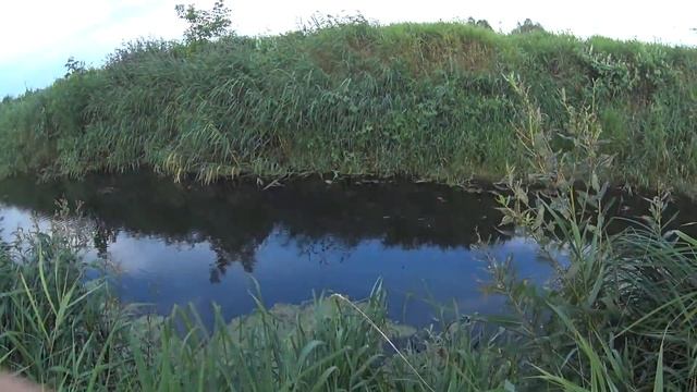 Рыбалка в ручье. И так тоже бывает!Рыбалка на спиннинг. смотреть онлайн