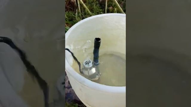 купил насос в магазине Материк г. Брест смотреть онлайн