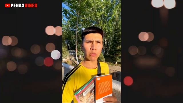 Qaraqalpaqsha Vaynlar Toplami | Nursultan Pegas Vaynlari | Pegas Shou | PegasVines | #rek #nukus смотреть онлайн