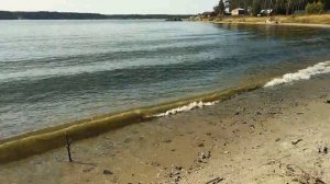 Рыбалка в Бердске под мостом