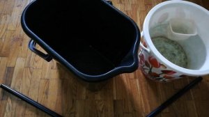 Гриндальский червь. Сборка, промывка и кормление рыбок