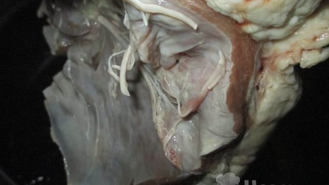 Книга рецептов