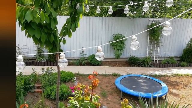 Садовые Гирлянды Лампочки. Красивое Украшение Сада. смотреть онлайн