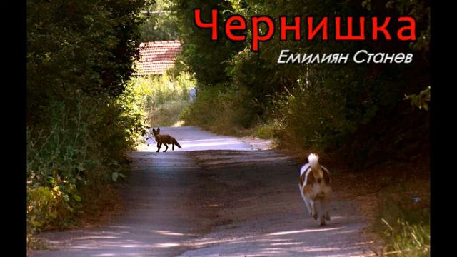 Чернишка - Емилиян Станев - част 13 от 22 (Аудио книга на български) смотреть онлайн