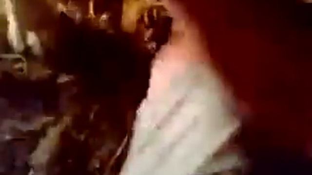 Ржака Ушлёпок залез в будку к собаке смотреть онлайн