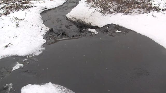 Пруды(отстойники) в Колосово сегодня.24/01/2020. смотреть онлайн