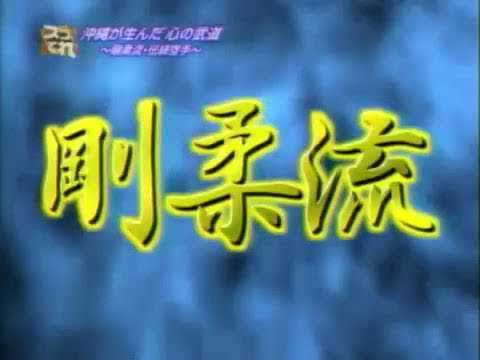 Sensei Morio Higaonna, RBCokinawa