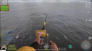 Размот без шансов на море2?Норвежское море огромная акула размотала ТОП сборку?Русская рыбалка 4?РР