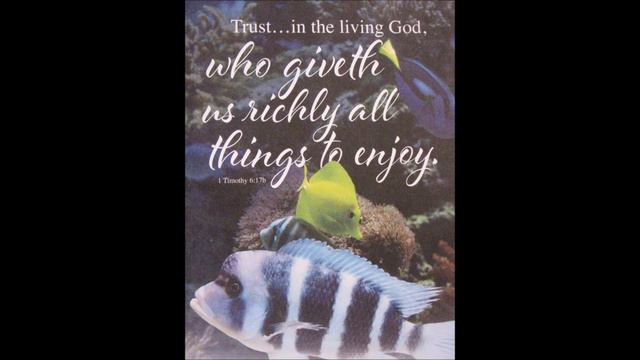 "Reality Check" Psalm 81:1-16 смотреть онлайн