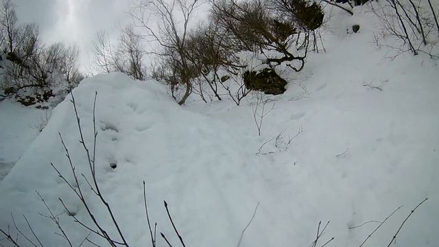 Третий цирк КП 10 февраля 2024