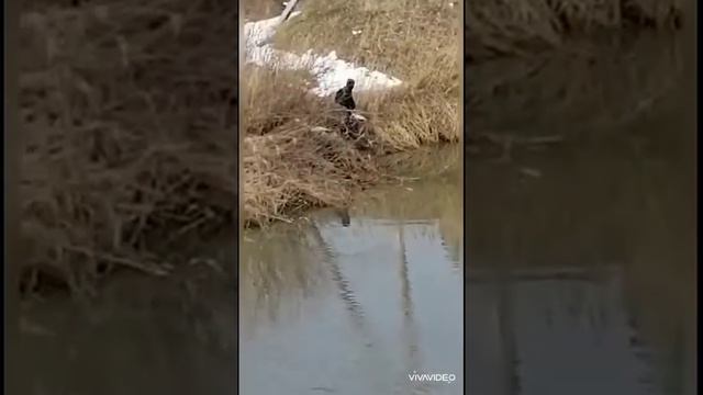 Открытие весенней рыбалки смотреть онлайн