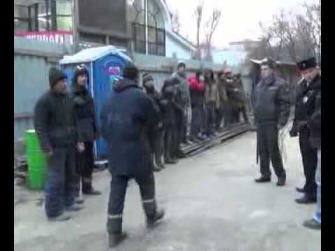 В Одинцово задержали нелегальных мигрантов