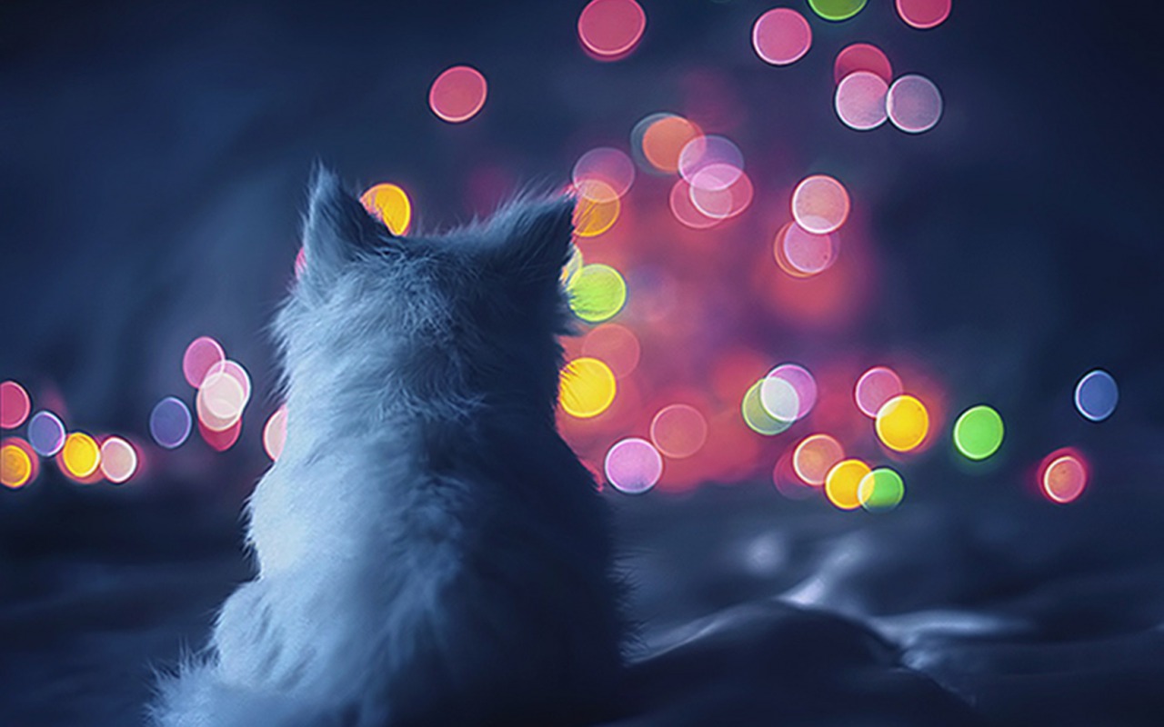 Красивое Пожелание Доброго Вечера Вам смотреть онлайн