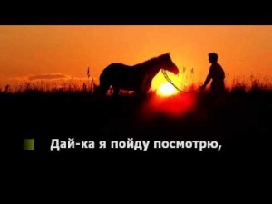 Выйду в поле с конем