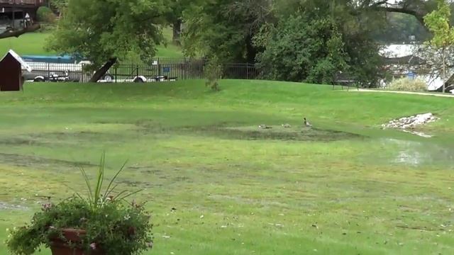 Почему в американской деревне нет грязи после дождя смотреть онлайн