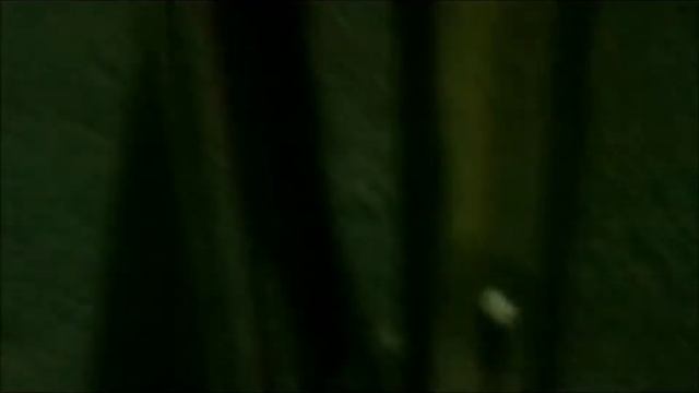 КАК ПОВЛИЯТЬ НА КАЧЕСТВО ВОДЫ