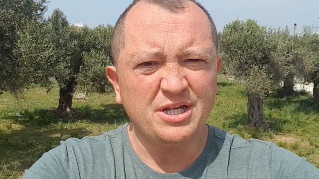 Проигрывать всегда будет тот, кто больше беспокоится о последствиях смотреть онлайн