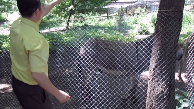 deaf.осёл смех смотреть онлайн