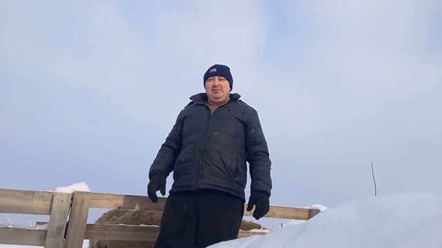 уколы баранам !! халява,)) , завтрак фермеру! ) смотреть онлайн