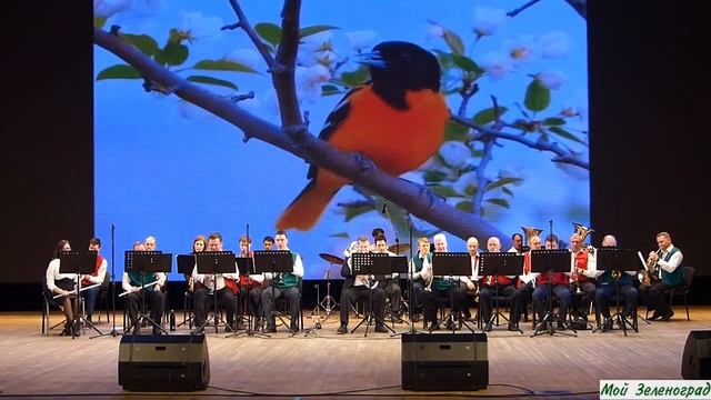 Духовой оркестр КЦ "Зеленоград" - А. Полонский. Фокстрот "Цветущий май"