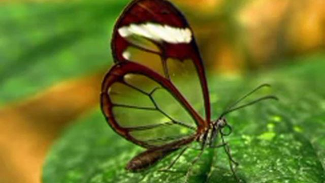 7 июня. День за днëм смотреть онлайн