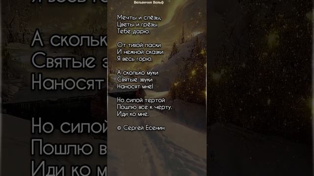 Мечты и слёзы #стихи #поэзия #shorts смотреть онлайн