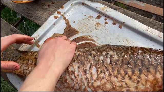 Музыкальные Каверы