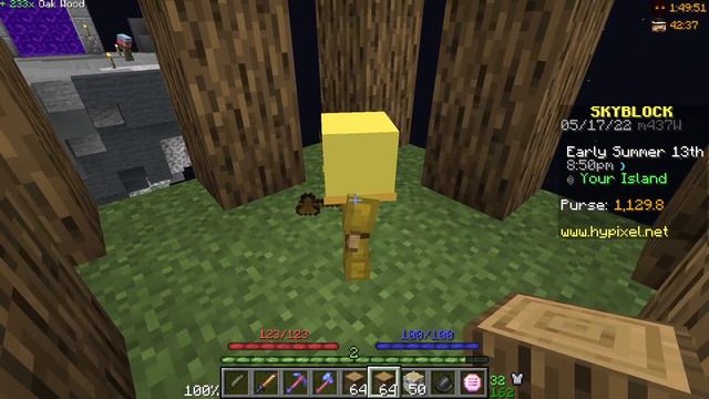 ГОНКА МАЙНКРАФТЕРОВ на SkyBlock RPG Hypixel | СКАЙБЛОК ХАЙПИКСЕЛЬ #3 | Minecraft смотреть онлайн