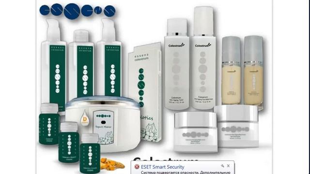 Елена Бидзикоева Презентация ESSENS 19 12 16 смотреть онлайн