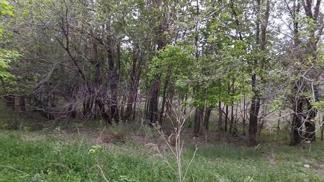Воскресенка, Самарская область, у берега озера смотреть онлайн