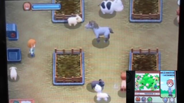 Harvest Moon (3DS): The Tale of Two Towns (S2) Part60 "The Rose Honey and Try Catch New Critters" смотреть онлайн
