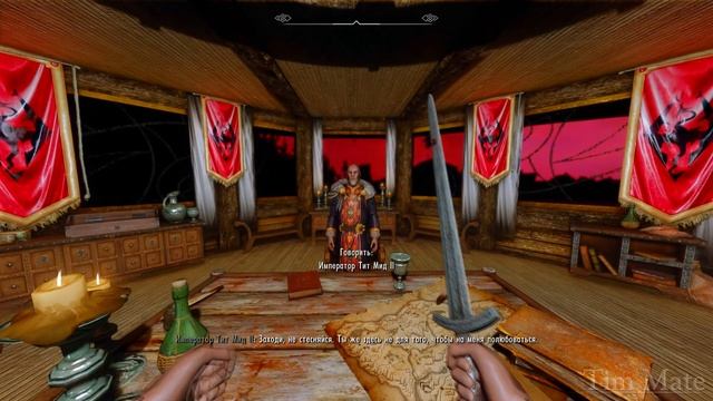 Skyrim ٠ Реакция Стражника на Броню Пенитус Окулатус После Убийства Императора смотреть онлайн