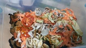 Овощная Домашняя приправа Вегетта /Как приготовить специи дома  /Дегидратор RAWMID Modern RMD-07