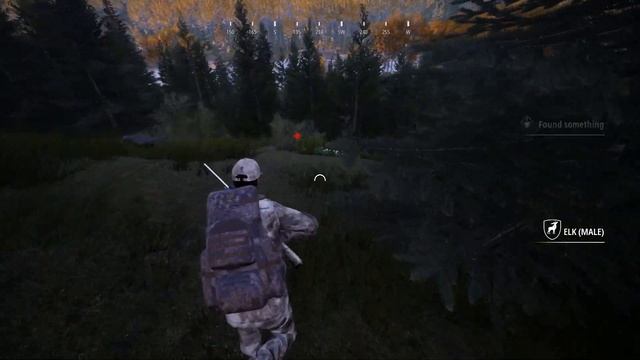 Hunting Black Bear, Grizzly Bear, & More In Roosevelt Forest! | HS2