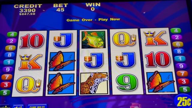 ??$11.25 APUESTAS ?3 BONOS? BRAZIL SLOT MACHINE OCEAN CASINO ATLANTIC CITY #BRAZIL #SLOTMACHINE смотреть онлайн