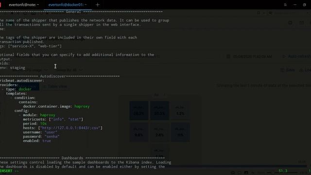 Metricbeat - Docker e Autodiscovery смотреть онлайн