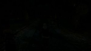 Прохождение Ведьмак 3, Братья по Оружию Новиград, Помочь Трисс с Ее Делами: Вопрос Жизни и Смерти