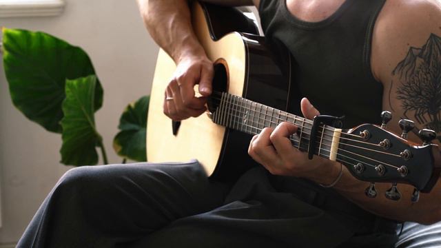 (Sting) Fields of Gold - Fingerstyle Guitar Cover (with Tabs) смотреть онлайн